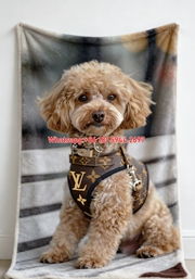 LV Monogram Poodle Blanket Luxury LV Dog Harness Throw 211